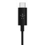 BELKIN USB-C to 3.5mm Cable 90cm / F7U079bt03-BLK (F7U079bt03-BLK)
