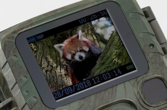 TECHNAXX MINI NATURE WILD CAM TX-117 (4795)