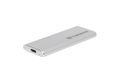 TRANSCEND d ESD240C - SSD - 120 GB - external (portable) - M.2 - USB 3.1 Gen 2 (USB-C connector) - silver (TS120GESD240C)