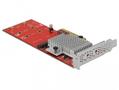 DELOCK PCI Express x8 Card to 2 x internal NVMe M.2 Key M - Low Profile Form Factor