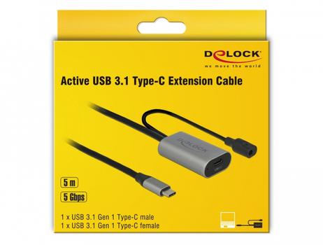 DELOCK Active USB 3.1 Gen 1 extension cable USB Type-C™ 5 m (85392)