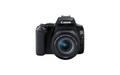 CANON EOS 250D + EF-S 18?55 mm (3454C002)