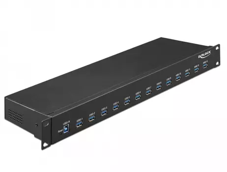 DELOCK 19â?³ Industry Hub 13 x USB 3.1 Gen 1 Type-A (64039)