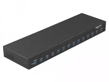 DELOCK 19â?³ Industry Hub 13 x USB 3.1 Gen 1 Type-A (64039)