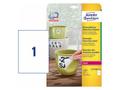 AVERY Self-Adhesive Label Rectangle