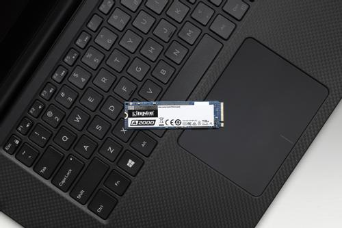 KINGSTON 250G A2000 M.2 2280 NVME . INT (SA2000M8/250G)