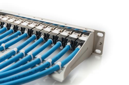 DIGITUS Modular Patch Panel shielded 12-Port Blank 1U 254mm (10in) Rack Mount grey RAL 7035 NS (DN-91419)
