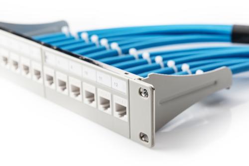 DIGITUS Modular Patch Panel shielded 12-Port Blank 1U 254mm (10in) Rack Mount grey RAL 7035 NS (DN-91419)