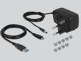DELOCK Desktop Lagringspakning USB 3.1 (Gen 2) SATA 6Gb/s (42607)