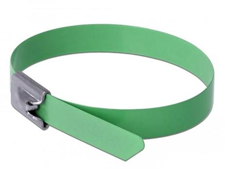 DELOCK Stainless Steel Cable Ties L 300 x W 7.9 mm green 10 pieces (18806)