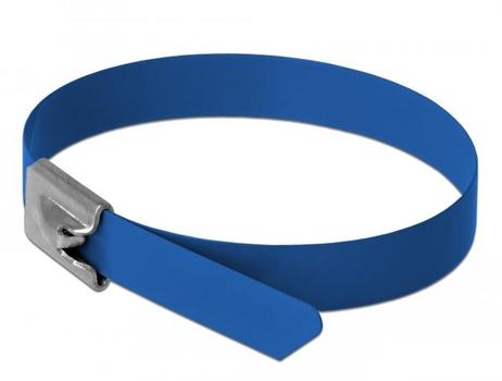 DELOCK Stainless Steel Cable Ties L 300 x W 7.9 mm blue 10 pieces (18798)