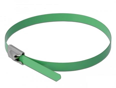 DELOCK Stainless Steel Cable Ties L 200 x W 4.6 mm green 10 pieces (18801)