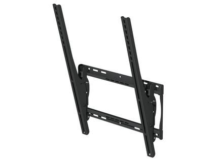 PEERLESS Outdoor Universal (EST655P)