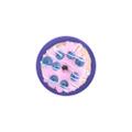 POPSOCKETS Blueberry Donut POPTOP endast lös Top