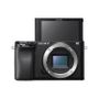 SONY A6100 16-50 + 55-210 Black (ILCE6100YB.CEC)