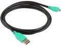 RAM MOUNT GDS© USB 2.0 Cable 0 - 1.2 M