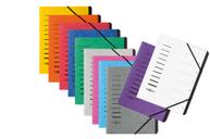 PAGNA Office Lysegrå Klassificeringsmappe A4 (210 x 297 mm) Lysegrå (40058-21)