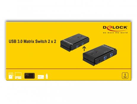 DELOCK USB 3.0 Matrix Switch 2 x 2 (87736)