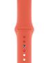APPLE Band 40 Clementine Sport-Zml
