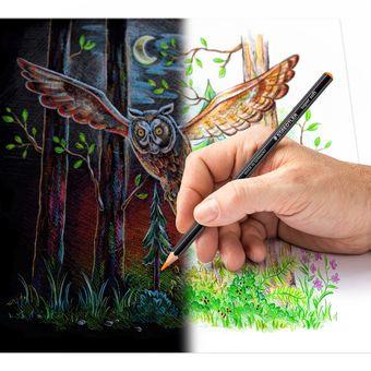 STAEDTLER Coloured pencil Super Soft in metal boks (12) (149C M12)