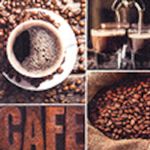 Kaffeserviet,  Harmony Coffee Spirit, 3-lags, 1/4 fold, 25x25cm, flerfarvet,  nyfiber