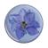 POPSOCKETS Pressed Flower Larkspur Avtagbart Grip med Ställfunktion Premium
