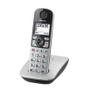 PANASONIC Telephone Dect Telephone