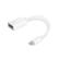 TP-LINK USB 3.0 On-The-Go USB-C adapter Hvid