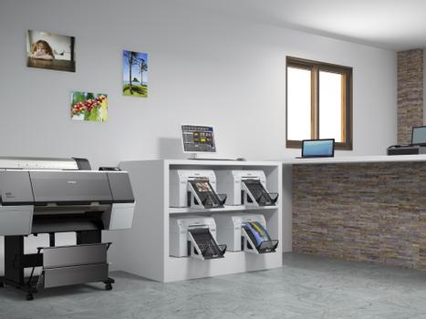 EPSON Epson SureLab SL-D800 (C11CH75301CX)