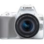 CANON EOS 250D + EF-S 18?55 mm