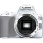 CANON EOS 250D + EF-S 18?55 mm (3458C001)