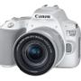 CANON EOS 250D -järjestelmäkamera,  valkoinen + 18-55 IS STM (3458C001)