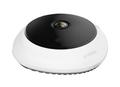 D-LINK Vigilance 5-Megapixel Panoramic Fisheye Camera (DCS-4625)