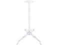 MULTIBRACKETS M Universal Projector Ceiling Mount III