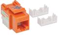 INTELLINET Keystone Jack Cat6 UTP RJ45 punch-down orange (210775)