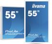 IIYAMA Kosketusnäyttö,  kapasitiivinen - 55inch PCAP WHITE Anti-glare Bezel Free 15-Points Touch Screen, 3840x2160 (4K), (TF5538UHSC-W2AG)