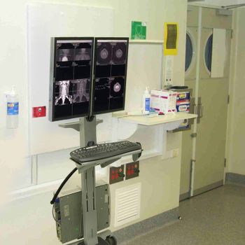 ERGOTRON NEOFLEX DUAL WIDEVIEW WORKSPACE (24-194-055)