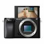 SONY ? 6100 Slr Camera Body 24.2 