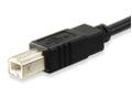 EQUIP USB 2.0 B MALE TO USB 2.0  (12888207)