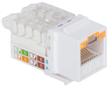 INTELLINET Locking Cat6 Keystone Jack (790758)