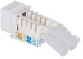 INTELLINET Locking Cat6 Keystone Jack (790758)