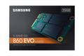 SAMSUNG SSD mSATA3 250GB 860 EVO Retail (MZ-M6E250BW)