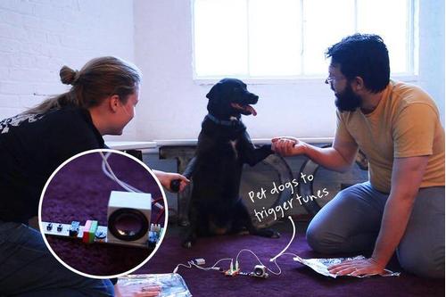 LITTLEBITS Makey Makey module (651-0001)