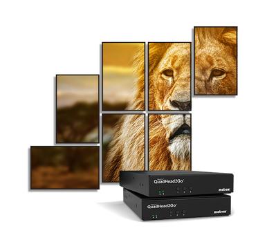 MATROX QuadHead2Go Q155 HDMI Monitor (Q2G-H4K2)