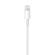 APPLE Lightning to USB Cable - 1m (MXLY2ZM/A)