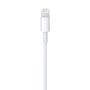 APPLE LIGHTNING TO USB CABLE (1 M) . CABL (MXLY2ZM/A)