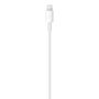 APPLE USB-C TO LIGHTNING CABLE (1 M) . CABL (MX0K2ZM/A)