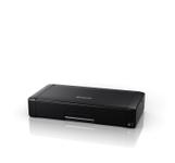 EPSON Workforce WF-110W (C11CH25401)