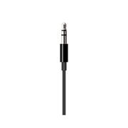 APPLE Lightning to 3.5mm Audio Cable